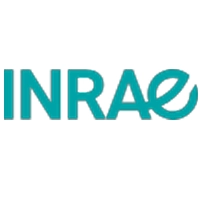 Logo de l’entreprise